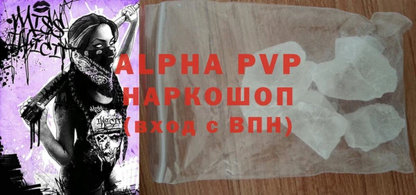 индика Новый Уренгой