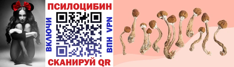 Псилоцибиновые грибы прущие грибы Чекалин